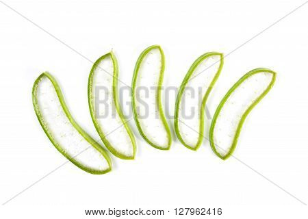 Aloe vera plant isolated on white background