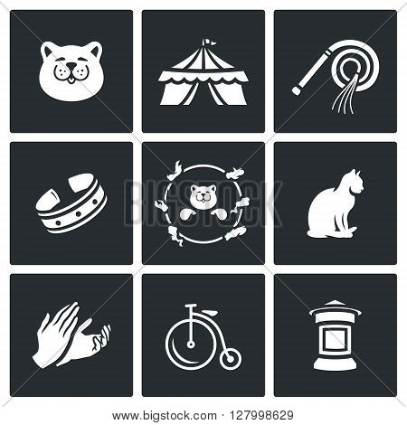 Cat, Circus, Training, Accessories, View, Jumping, Animal, Hands, icons .