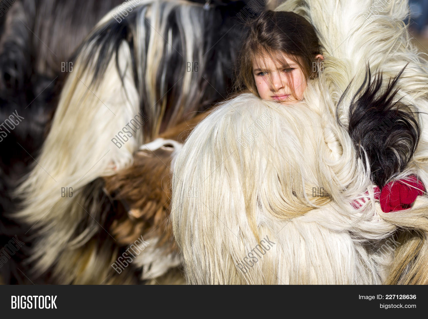 Pernik, Bulgaria - 28 Image & Photo (Free Trial) | Bigstock