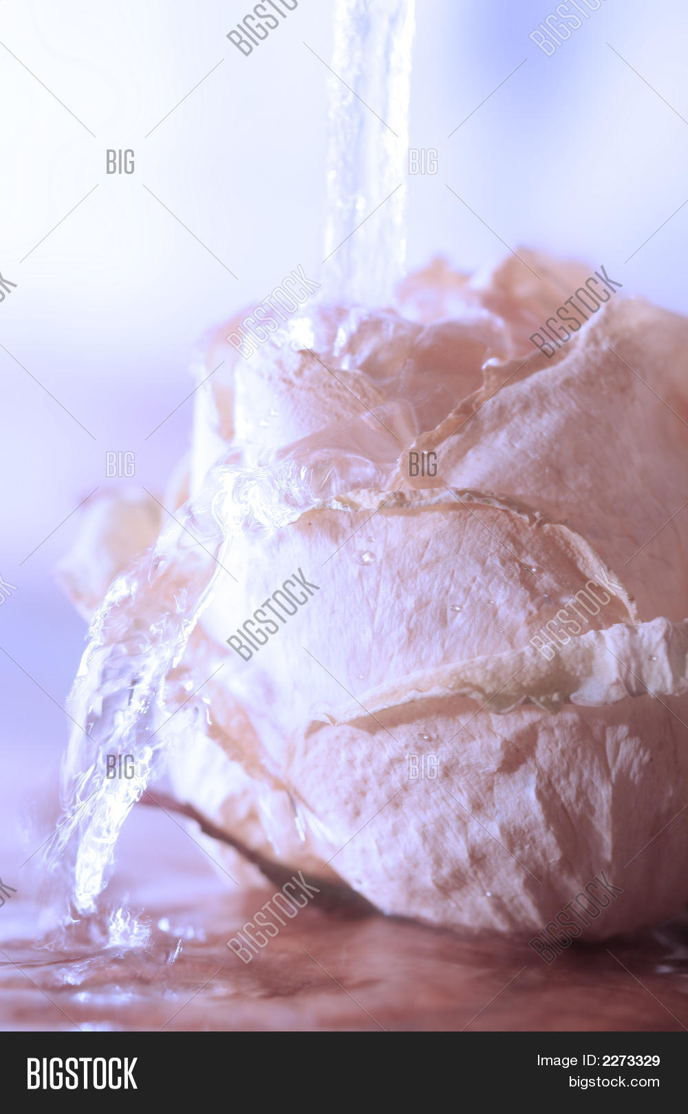Image Preview