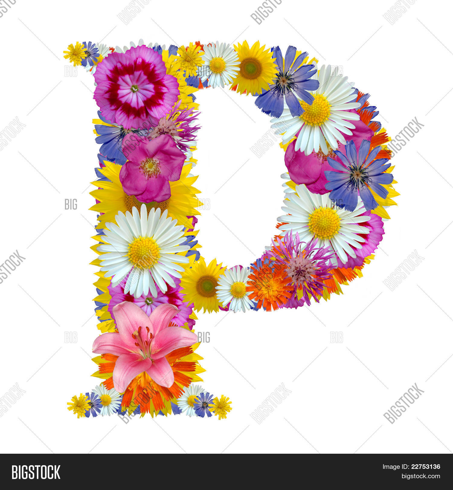  Alphabet Flowers Image & Photo (Free Trial) 