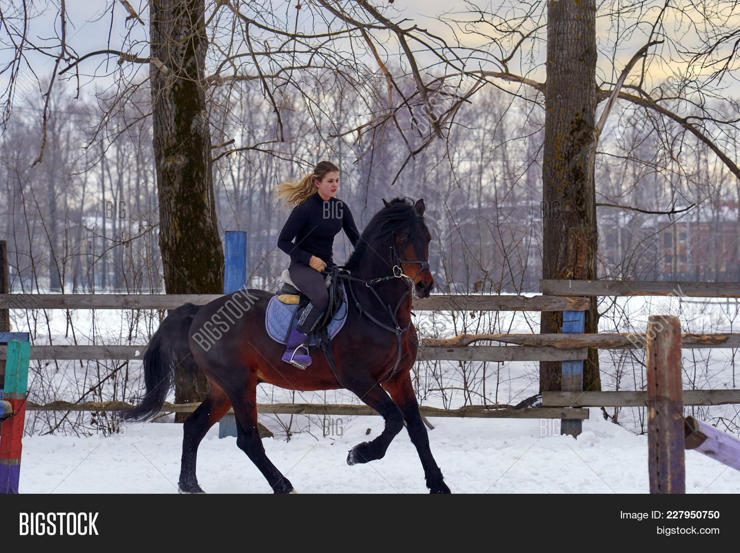 Girl On Horse Jumps Image & Photo (Free Trial) Bigstock