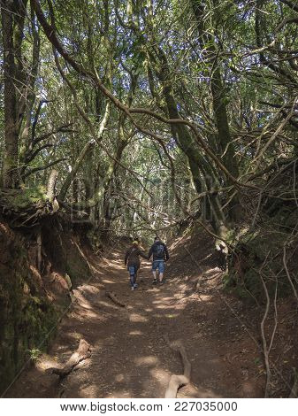 Couple Of Tourist Walking Holding Hand On Sendero De Los Sentidos Mystery Primary Laurel Forest Laur