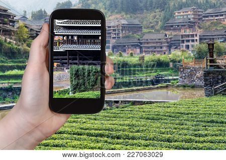 Travel Concept - Tourist Photographs Tea Plantation And Chengyang Wind And Rain (fengyu, Yongji, Pan