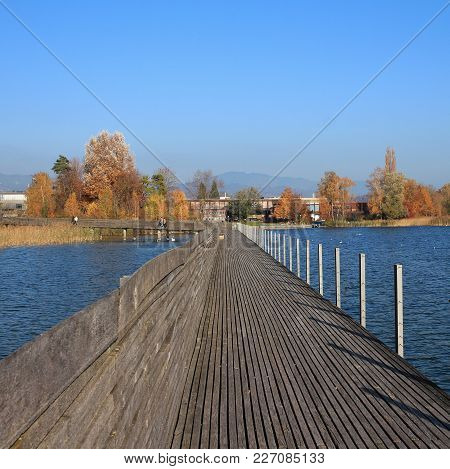 Boardwalk, Blue Lake Obersee And Golden Trees. Autumn Scene In Rapperswil, Switzerland.