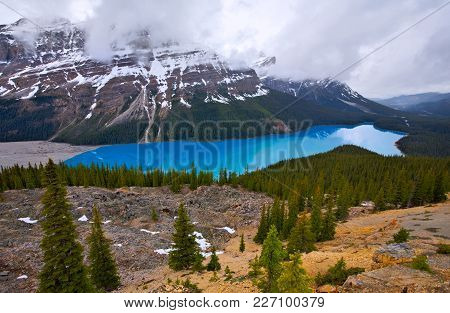 Peyto Lake In Banff National Park, Alberta, Canada