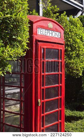 The Red Public Callbox Costs Among Tropical Greens
