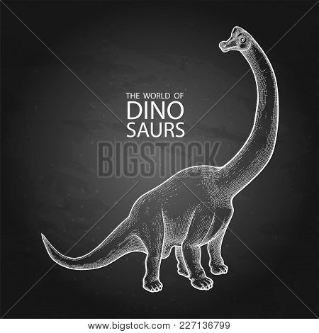 Graphic Brachiosaurus. Vector Dinosaur Isolated On The Chalkboard. Herbivore Animal Of The Prehistor