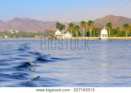 Nehru Island On Fateh Sagar Lake In Udaipur India. The White Domes And Trees Of The Island Are Visib