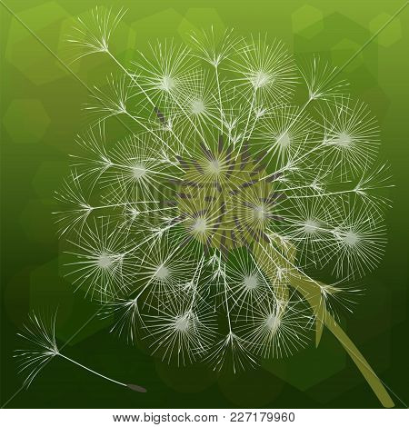 Abstract Background Of A Dandelion For Design. The Wind Blows The Seeds Of A Dandelion. Template For