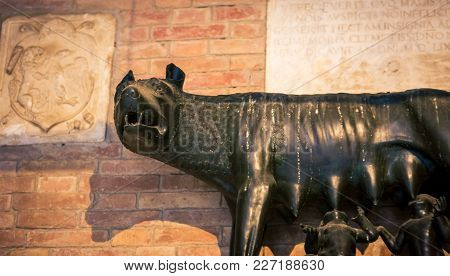 She Wolf In Siena Italy The Symbol Of Rome