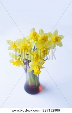 Beautiful Bouquet Of Spring Yellow Narcisus Flowers In A Glass Vase.
