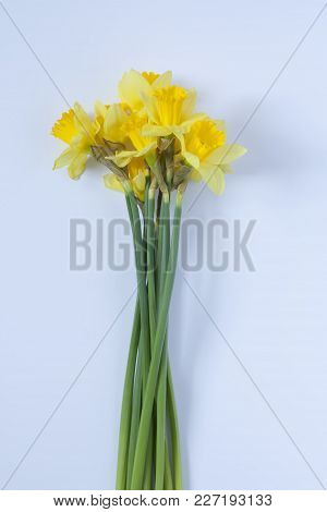 Bouquet Of Yellow Narcissus Flowers On White Background.