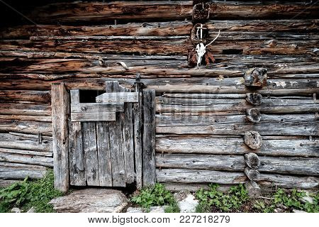 A Stable On A Alpine Pasture Used For Goats And Sheeps. On The Wooden Beams Hangs A Hunting Trophy A