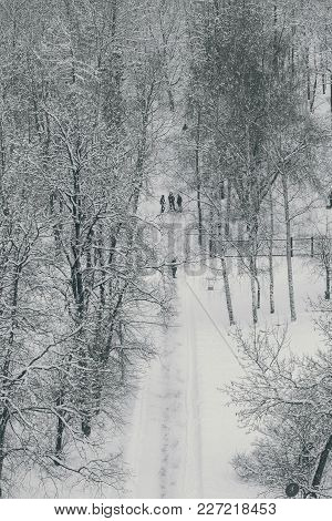 Image Of Orthodox Crosses On Abandoned Graves In The Old Cemetery In Winter