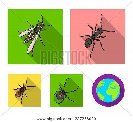 An Insect Arthropod, An Osa, A Spider, A Cockroach. Insects Set Collection Icons In Flat Style Vecto