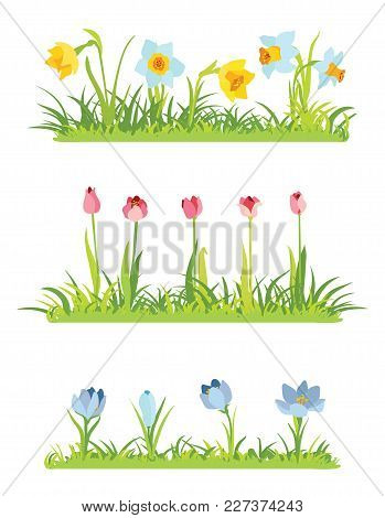 Set Of Spring April Flowery Borders For Easter Decoration, Grass And Narcissus Border, Tulips Frame,