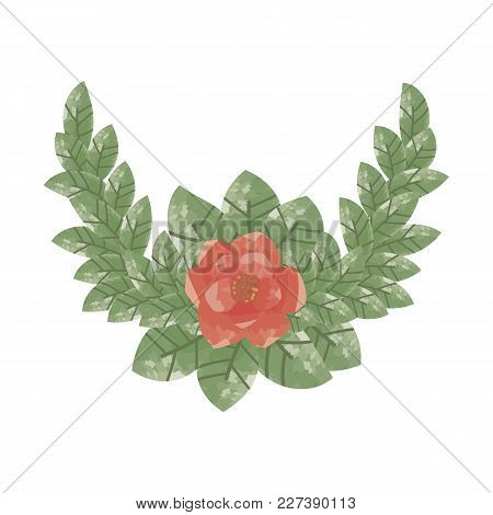Composition Of A Single Red Flower Surrounded By Green Leaves On A White Background