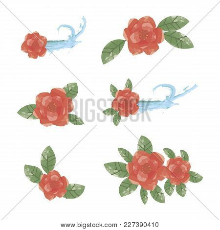 Elements Of Red Flowers With Green Leaves Of Blue Water With Spray On A White Background