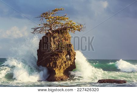 Beautiful tropical Pacific Ocean coast in Costa Rica