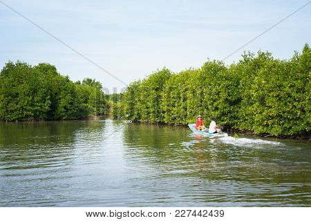 An Giang, Vietnam - Dec 6, 2016: Mangrove Forest With Boat Running In Ca Mau Province, Mekong Delta,