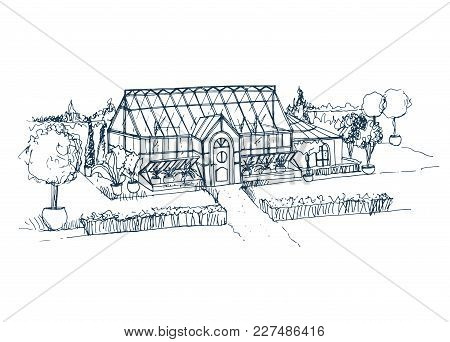Sketch Of Beautiful Glasshouse Building Surrounded By Bushes And Trees Growing In Pots. Freehand Dra