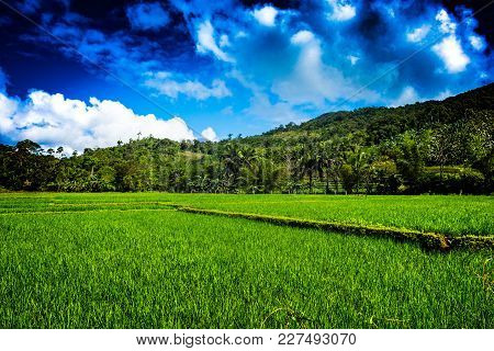 Color Image Of Rural Solano And The Surrounding Sierra Madre Mountains Of Northern Luzon, Philippine