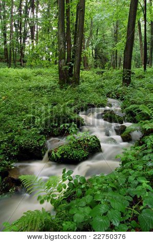 Stream