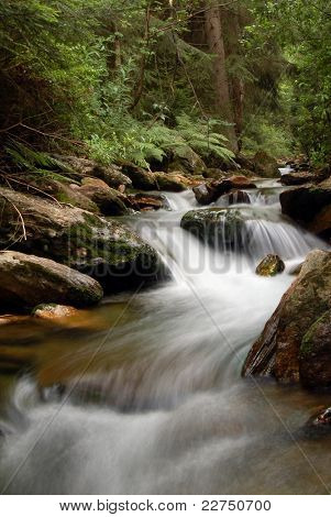 mountain spring in bohemia