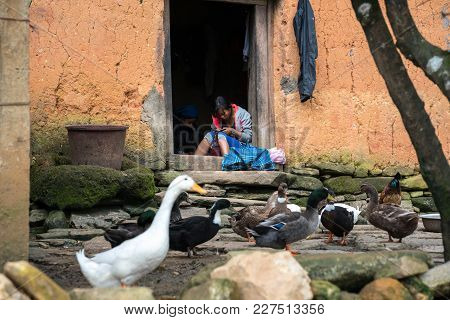 Lao Cai, Vietnam - Sep 7, 2017: Ethnic Girl Embroiders On Door At Her House With Poultry On Ground I