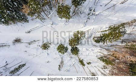 Drop Down View Of Road Going Through Winter Forest. Aerial View Of Winter Landscape From Above.