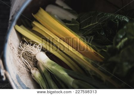 Fresh Farm Share Vegetables In A Bucket
