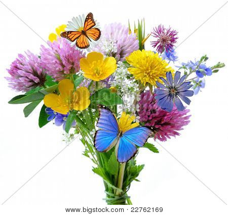 fiori di prato con farfalla