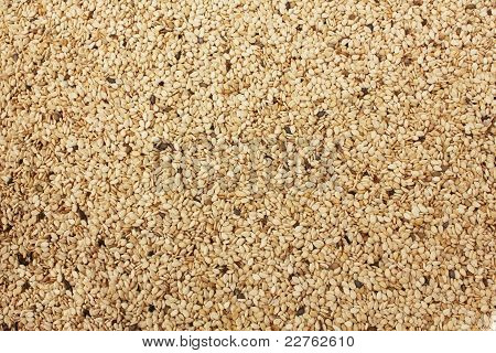 Sesame