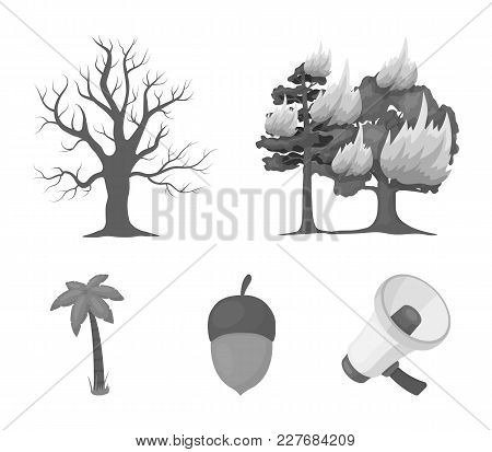 Burning Tree, Palm, Acorn, Dry Tree.forest Set Collection Icons In Monochrome Style Vector Symbol St