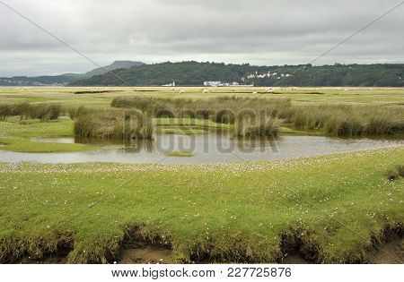 Dwyryd Estuary