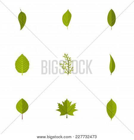 Leaf Icons Set. Flat Set Of 9 Leaf Vector Icons For Web Isolated On White Background