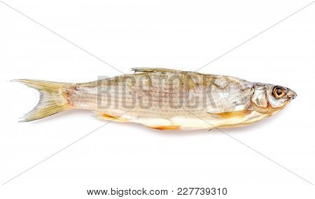 The Dried Fish raspber isolated.