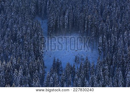 Wintery Wonderland With Sunshine And Forrest In Austria
