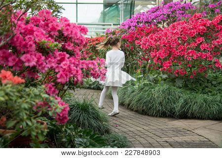 Girl Sniffing Flowers Of Azaleas