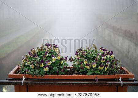 Concrete Flowerpot Against On Bridge In Foggy Weather.