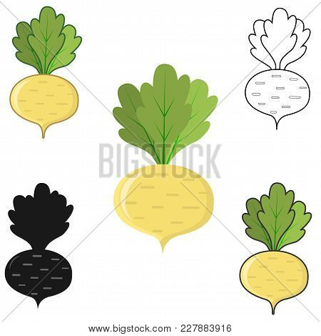 Turnip Icon Colored, Black And White, Black, Contiguous Stroke In A Flat Style On A White Background