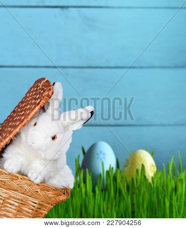 Easter Funny Bunny On Green Grass And Easter Eggs. Easter Background