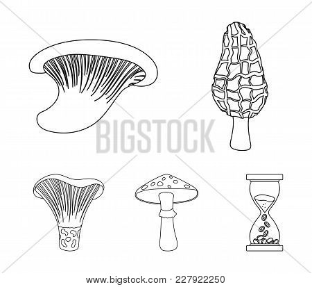 Morel, Oyster, Green Amanita, Actariu , Indigo. Set Collection Icons In Outline Style Vector Symbol 