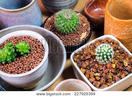 Ceramic Bowls Prepared To Use For Houseplant Pot
