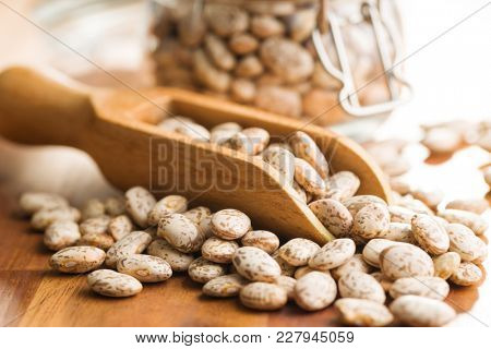 Dried borlotti beans in wooden scoop.