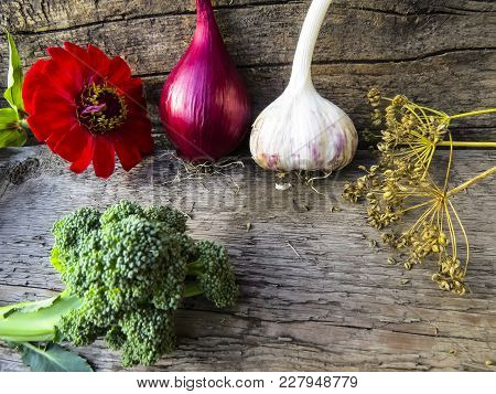 Vegetables  From Organic Grower Farm On A Wooden Background.garlic, Onion And Broccoli.top View. Pla