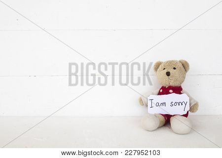 I Am Sorry Message Card With Teddy Bear On Background White