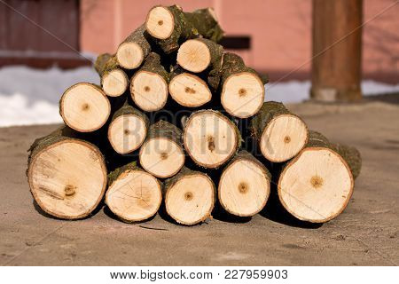 A Pile Of Stacked Firewood . A Pyramid Of Round Wood.
