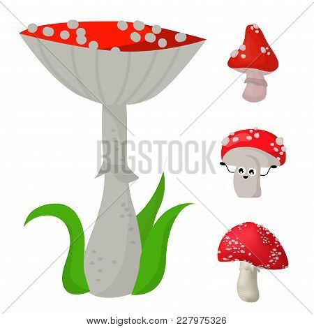 Style Of Amanita Mushrooms Set Vector Poisonous Season Toxic Fungus Food Cartoon Muscaria, Toadstool